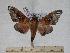  ( - BC-EMEM1228)  @13 [ ] Copyright (2010) Unspecified Research Collection of Ulf Eitschberger