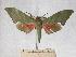  ( - BC-EMEM1232)  @13 [ ] Copyright (2010) Unspecified Research Collection of Ulf Eitschberger
