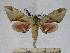  ( - BC-EMEM1235)  @13 [ ] Copyright (2010) Unspecified Research Collection of Ulf Eitschberger
