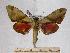  ( - BC-EMEM1239)  @14 [ ] Copyright (2010) Unspecified Research Collection of Ulf Eitschberger