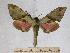  ( - BC-EMEM1241)  @14 [ ] Copyright (2010) Unspecified Research Collection of Ulf Eitschberger