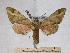  ( - BC-EMEM1258)  @12 [ ] Copyright (2010) Unspecified Research Collection of Ulf Eitschberger