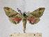  ( - BC-EMEM1265)  @13 [ ] Copyright (2010) Unspecified Research Collection of Ulf Eitschberger