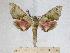  ( - BC-EMEM1266)  @13 [ ] Copyright (2010) Unspecified Research Collection of Ulf Eitschberger