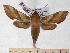 ( - BC-EMEM1343)  @13 [ ] Copyright (2010) Unspecified Research Collection of Ulf Eitschberger