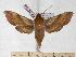  ( - BC-EMEM1344)  @14 [ ] Copyright (2010) Unspecified Research Collection of Ulf Eitschberger