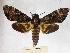  ( - BC-EMEM0949)  @14 [ ] Copyright (2010) Unspecified Research Collection of Ulf Eitschberger