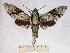  ( - BC-EMEM0963)  @14 [ ] Copyright (2010) Unspecified Research Collection of Ulf Eitschberger