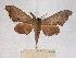  ( - BC-EMEM0986)  @13 [ ] Copyright (2010) Unspecified Research Collection of Ulf Eitschberger