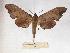 ( - BC-EMEM0987)  @13 [ ] Copyright (2010) Unspecified Research Collection of Ulf Eitschberger