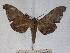  ( - BC-EMEM0988)  @13 [ ] Copyright (2010) Unspecified Research Collection of Ulf Eitschberger