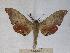  ( - BC-EMEM0994)  @13 [ ] Copyright (2010) Unspecified Research Collection of Ulf Eitschberger
