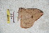  ( - BC-RBP 5720)  @12 [ ] Copyright (2010) Ron Brechlin Research Collection of Ron Brechlin