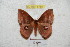  ( - BC-RBP 5769)  @13 [ ] Copyright (2010) Ron Brechlin Research Collection of Ron Brechlin