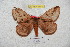  ( - BC-RBP 5853)  @13 [ ] Copyright (2010) Ron Brechlin Research Collection of Ron Brechlin