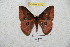  ( - BC-RBP 5879)  @13 [ ] Copyright (2010) Ron Brechlin Research Collection of Ron Brechlin