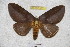  ( - BC-RBP 3703)  @11 [ ] Copyright (2010) Ron Brechlin Research Collection of Ron Brechlin