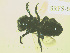 ( - SRFS-6)  @12 [ ] Unspecified (default): All Rights Reserved  Unspecified Unspecified