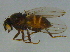  ( - BIOUG03495-G08)  @13 [ ] CreativeCommons - Attribution (2012) CBG Photography Group Centre for Biodiversity Genomics