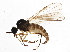  ( - BIOUG03502-B09)  @14 [ ] CreativeCommons - Attribution (2014) CBG Photography Group Centre for Biodiversity Genomics