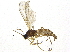  ( - BIOUG03612-D05)  @13 [ ] CreativeCommons - Attribution (2013) CBG Photography Group Centre for Biodiversity Genomics