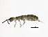  ( - BIOUG03626-G06)  @15 [ ] CreativeCommons - Attribution (2012) CBG Photography Group Centre for Biodiversity Genomics