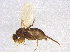  ( - BIOUG03628-F05)  @13 [ ] CreativeCommons - Attribution (2013) CBG Photography Group Centre for Biodiversity Genomics
