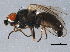  ( - BIOUG03778-C06)  @13 [ ] CreativeCommons - Attribution (2014) CBG Photography Group Centre for Biodiversity Genomics