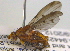  ( - BIOUG03857-D10)  @13 [ ] CreativeCommons - Attribution (2012) CBG Photography Group Centre for Biodiversity Genomics