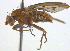  ( - BIOUG03857-G07)  @13 [ ] CreativeCommons - Attribution (2012) CBG Photography Group Centre for Biodiversity Genomics