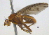  ( - BIOUG03857-G10)  @14 [ ] CreativeCommons - Attribution (2012) CBG Photography Group Centre for Biodiversity Genomics