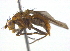  ( - BIOUG03858-B04)  @14 [ ] CreativeCommons - Attribution (2012) CBG Photography Group Centre for Biodiversity Genomics
