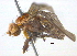  ( - BIOUG03858-B09)  @12 [ ] CreativeCommons - Attribution (2012) CBG Photography Group Centre for Biodiversity Genomics