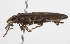 ( - BIOUG03888-A07)  @13 [ ] CreativeCommons - Attribution (2014) CBG Photography Group Centre for Biodiversity Genomics