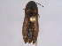  ( - BIOUG03888-B10)  @14 [ ] CreativeCommons - Attribution (2014) CBG Photography Group Centre for Biodiversity Genomics