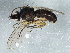  ( - BIOUG03526-G11)  @13 [ ] CreativeCommons - Attribution (2013) CBG Photography Group Centre for Biodiversity Genomics