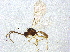  ( - BIOUG03860-E05)  @13 [ ] CreativeCommons - Attribution (2013) CBG Photography Group Centre for Biodiversity Genomics