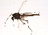  ( - BIOUG03944-D07)  @12 [ ] CreativeCommons - Attribution (2013) CBG Photography Group Centre for Biodiversity Genomics