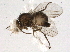  ( - BIOUG04020-H03)  @12 [ ] CreativeCommons - Attribution (2013) CBG Photography Group Centre for Biodiversity Genomics