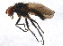  ( - BIOUG04202-C02)  @13 [ ] CreativeCommons - Attribution (2014) CBG Photography Group Centre for Biodiversity Genomics