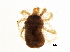  ( - BIOUG04397-B05)  @14 [ ] CreativeCommons - Attribution (2014) CBG Photography Group Centre for Biodiversity Genomics