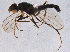  ( - BIOUG04605-D12)  @12 [ ] CreativeCommons - Attribution (2014) CBG Photography Group Centre for Biodiversity Genomics