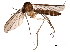  ( - BIOUG04859-D01)  @11 [ ] CreativeCommons - Attribution (2014) CBG Photography Group Centre for Biodiversity Genomics