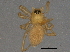  ( - BIOUG06190-B11)  @12 [ ] CreativeCommons - Attribution (2014) CBG Photography Group Centre for Biodiversity Genomics