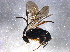  ( - BIOUG06357-A02)  @13 [ ] CreativeCommons - Attribution (2014) CBG Photography Group Centre for Biodiversity Genomics