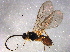  ( - BIOUG06357-A07)  @12 [ ] CreativeCommons - Attribution (2014) CBG Photography Group Centre for Biodiversity Genomics