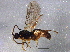  ( - BIOUG06357-F04)  @14 [ ] CreativeCommons - Attribution (2014) CBG Photography Group Centre for Biodiversity Genomics