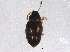  ( - BIOUG06157-G12)  @13 [ ] CreativeCommons - Attribution (2014) CBG Photography Group Centre for Biodiversity Genomics