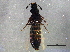  ( - BIOUG06498-F12)  @14 [ ] CreativeCommons - Attribution (2014) CBG Photography Group Centre for Biodiversity Genomics