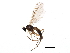  ( - BIOUG06981-C07)  @13 [ ] CreativeCommons - Attribution (2014) CBG Photography Group Centre for Biodiversity Genomics
